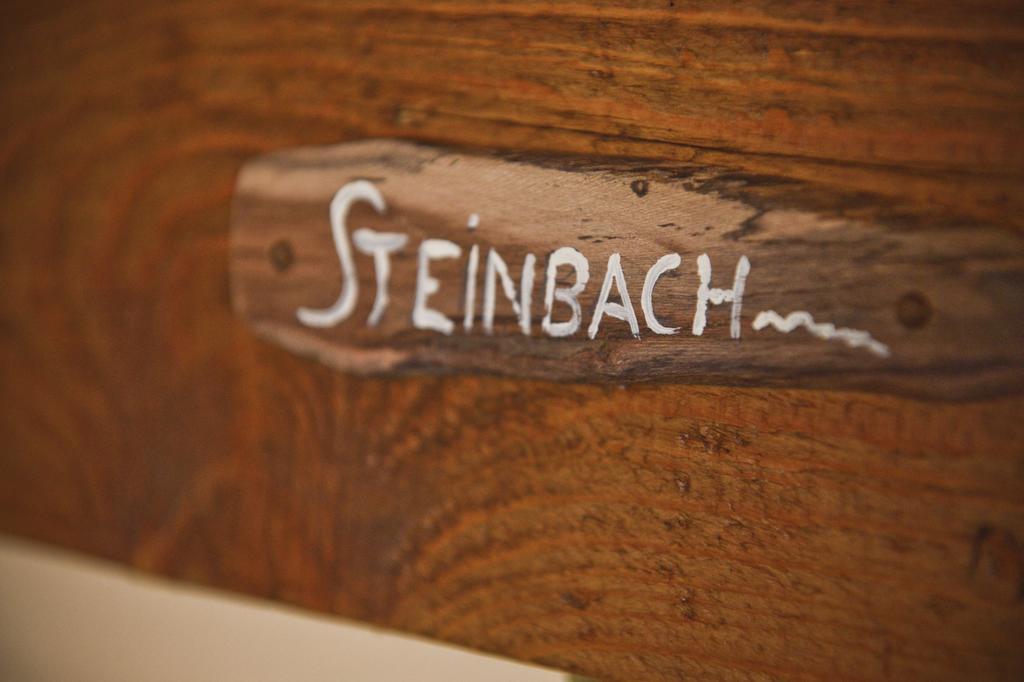 Pension Zierlinger Senftenberg Exteriör bild